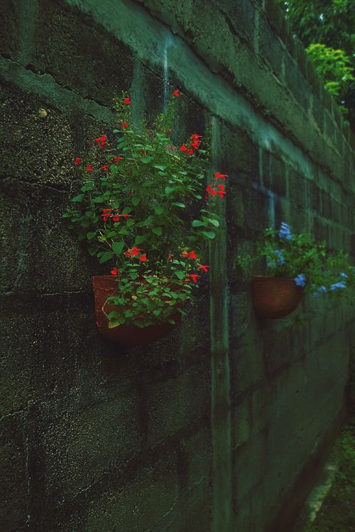 images/img-1.jpg